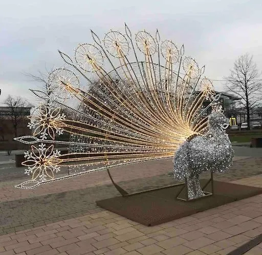 Rynek Pod Fredra ヴロツワフ