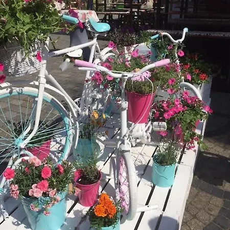 Apartmán Rynek Pod Fredra Vratislav