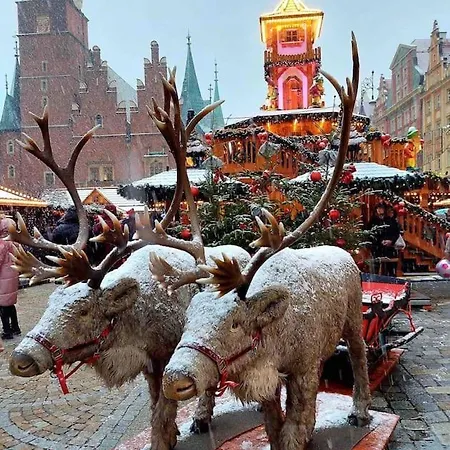 Rynek Pod Fredra Vratislav