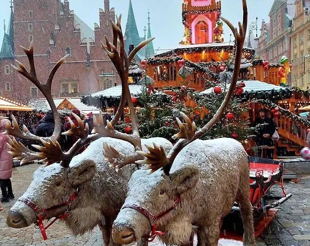 Rynek Pod Fredra Wrocław